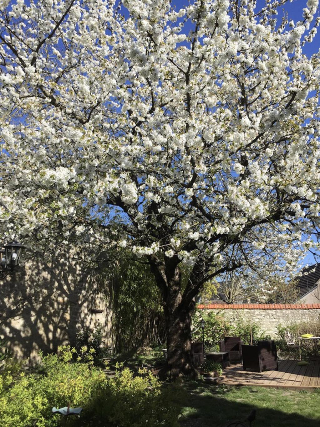 Bed and Breakfast Aquarelle Sainte-Maure-de-Touraine Exterior foto